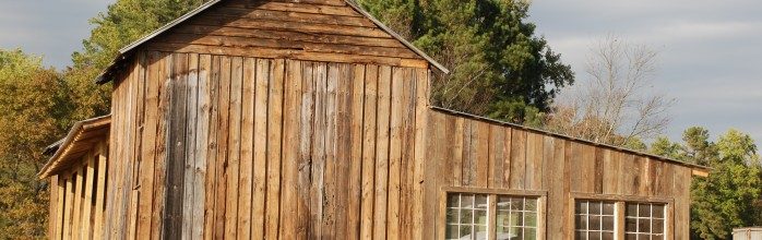 dsc_00541-698x220-2558010