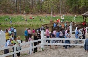 dsc_04002-300x196-7541939